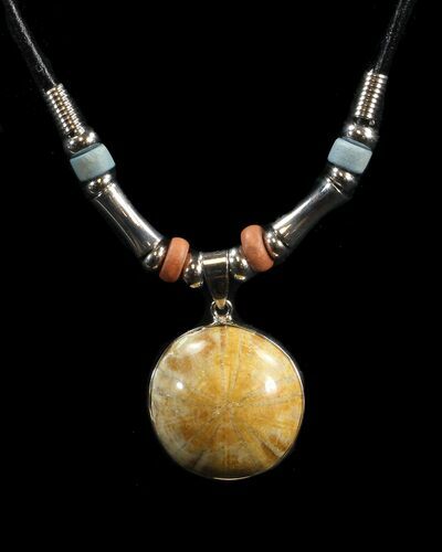 Polished Fossil Sand Dollar Necklace #43103
